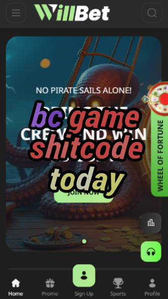 BC Game Shitcode Today - Latest Vouchers-vz72fvrf.com